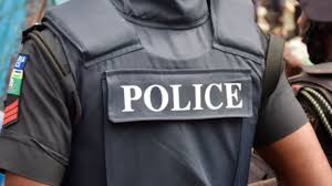 State Police: Solution or New Source of Trouble?